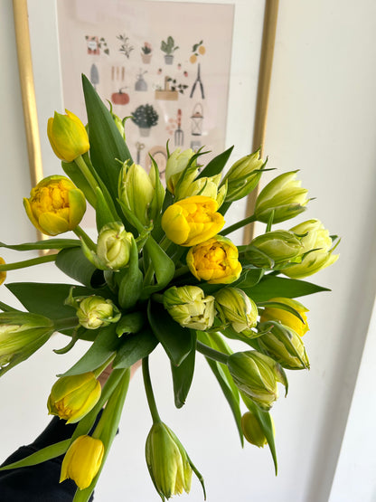 Mother's Day Large Tulip Bouquet