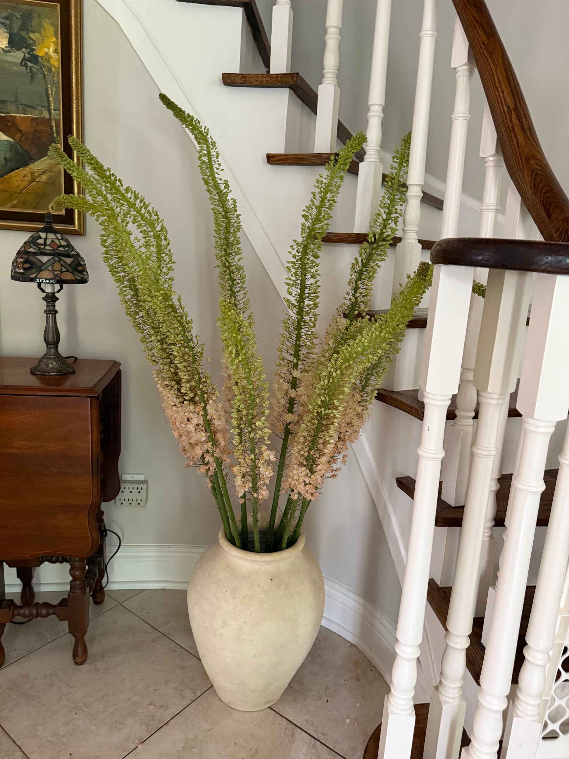 Straight Bunch - week of June 22 - eremurus aka foxtail lily