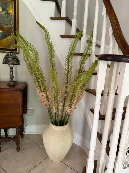 Straight Bunch - week of June 22 - eremurus aka foxtail lily