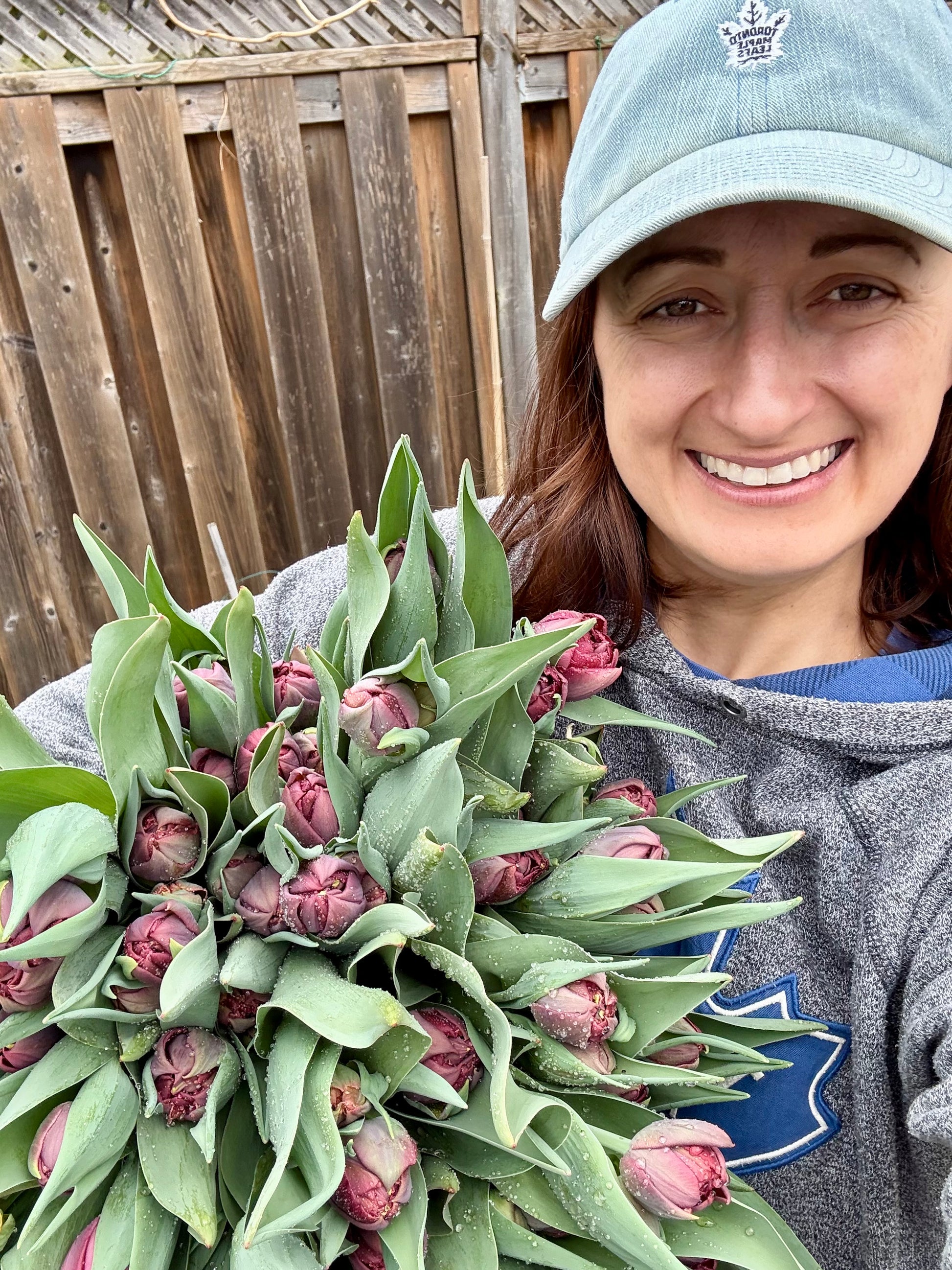Tulip Bulbs (10 per pack)