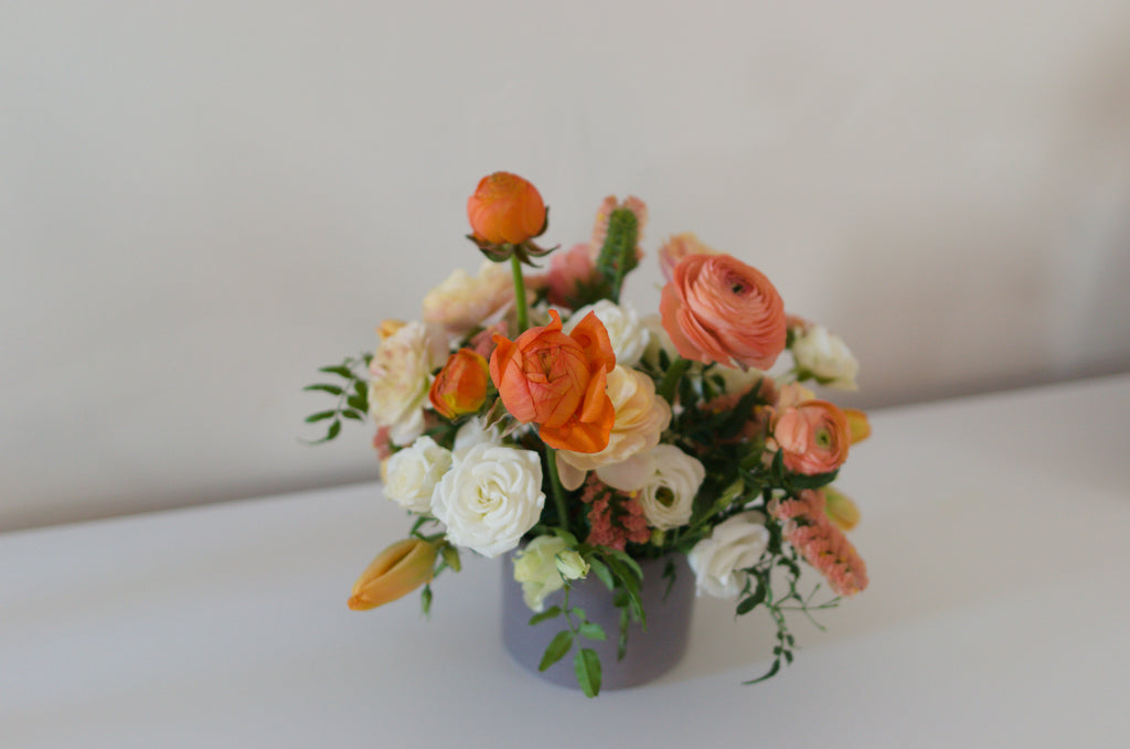Deluxe Mixed Potted Arrangement