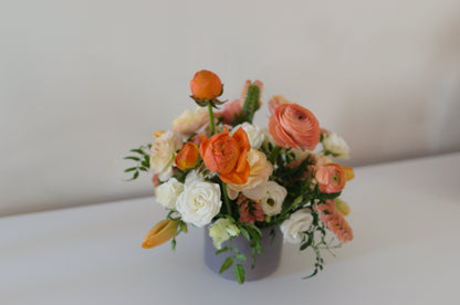 Deluxe Mixed Potted Arrangement