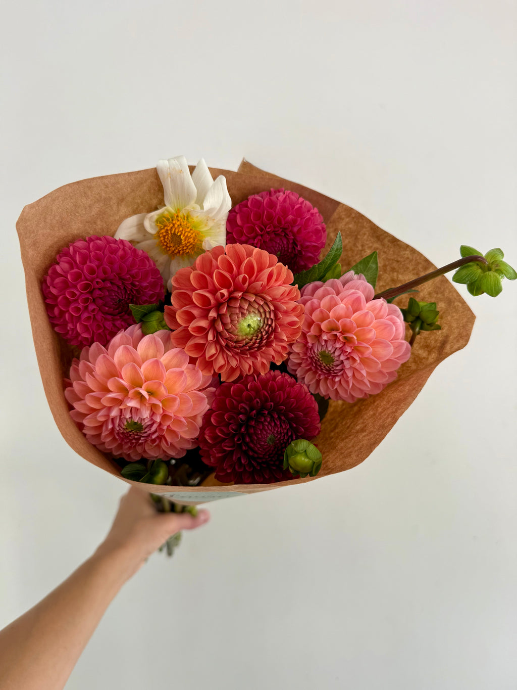 Dahlia Bunch