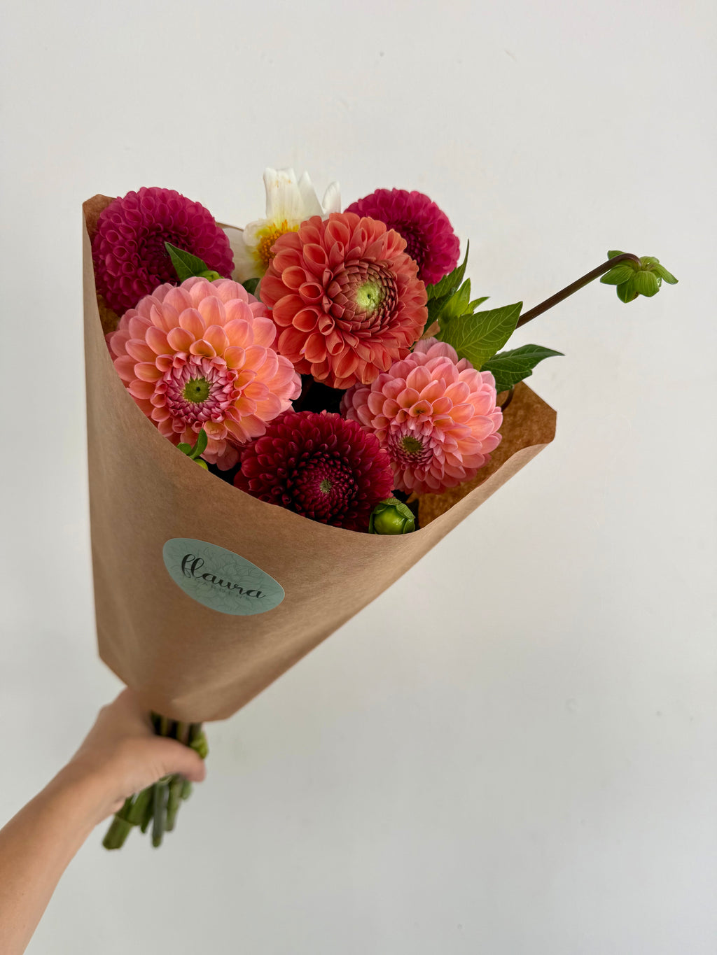 Dahlia Bunch