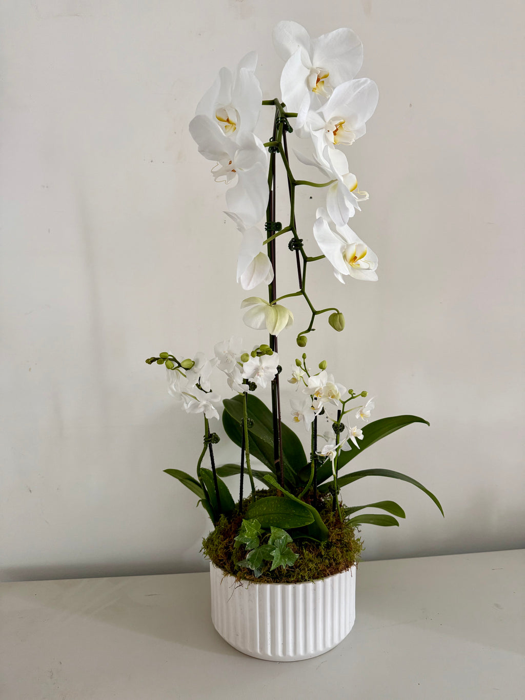 Orchid Planter