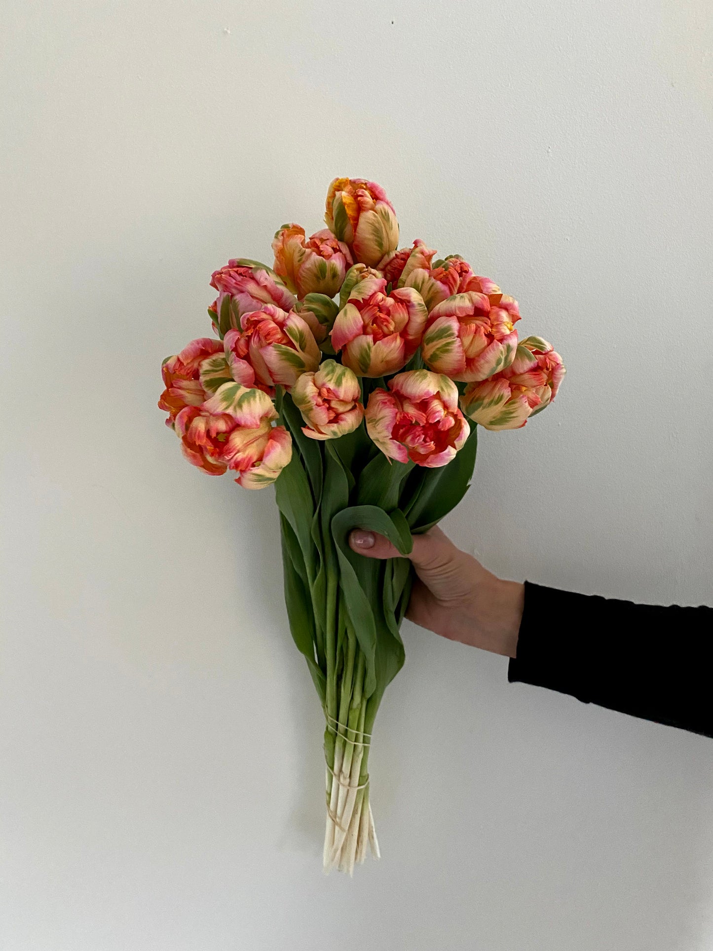 Mother's Day Tulip Bouquet