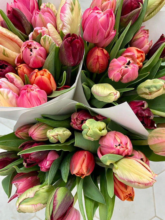 Mother's Day Large Tulip Bouquet